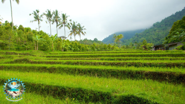 Bali - Entdecken Sie idyllische Strände, mystische Tempel und großartige Museen oder radeln Sie durch die üppige Landschaft der bekannten Insel im indonesischen Archipel mit Expedia – Bild 13